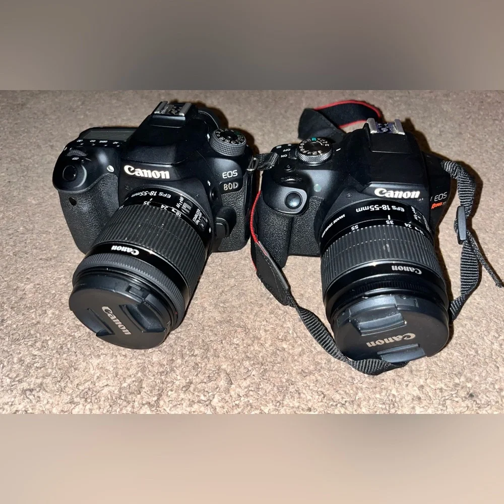 canon cameras(rebel T7 and 80D) and 5 lenses. Used- well used